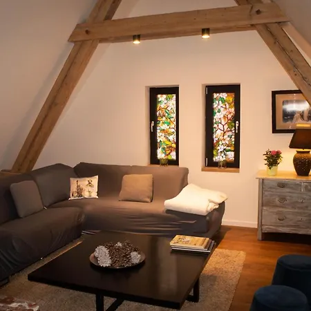 La Tour Du Bois Fleuri Appartamento Colmar